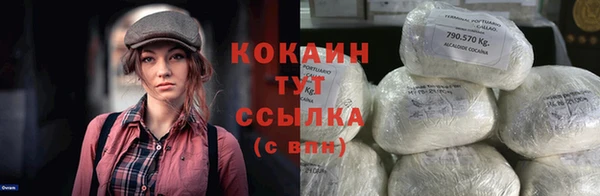 стаф Алзамай