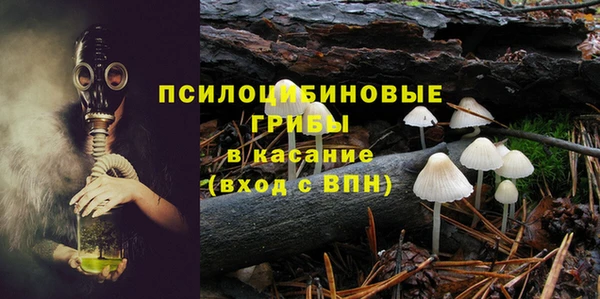 стаф Алзамай