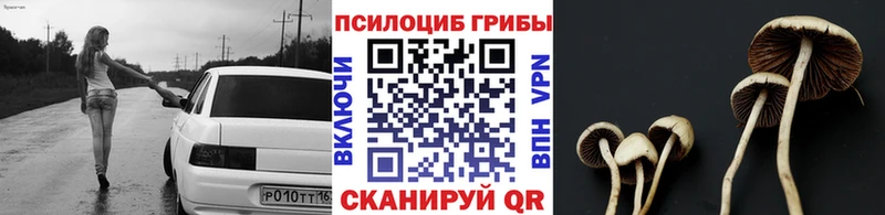 ссылка на мегу рабочий сайт  магазин    Северская  Галлюциногенные грибы GOLDEN TEACHER 