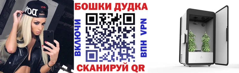 Бошки Шишки конопля  Северская 